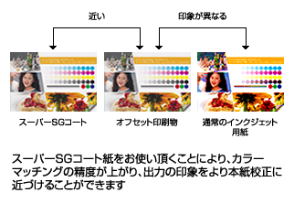 プルーフ用紙（スーパーSGコート紙）