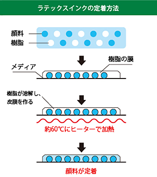 ラテックスインクの定着方法