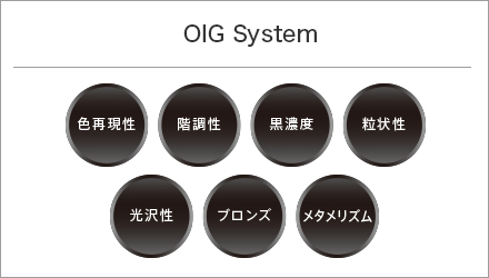 OIG System