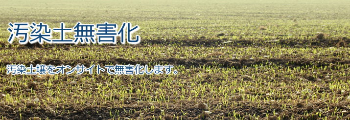 汚染土壌無害化