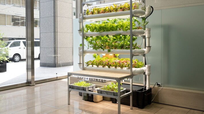 事業所のデッドスペースが「小さな農園」に【アグロット120】