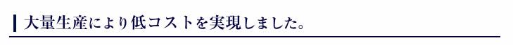 大量生産により低コストを実現しました