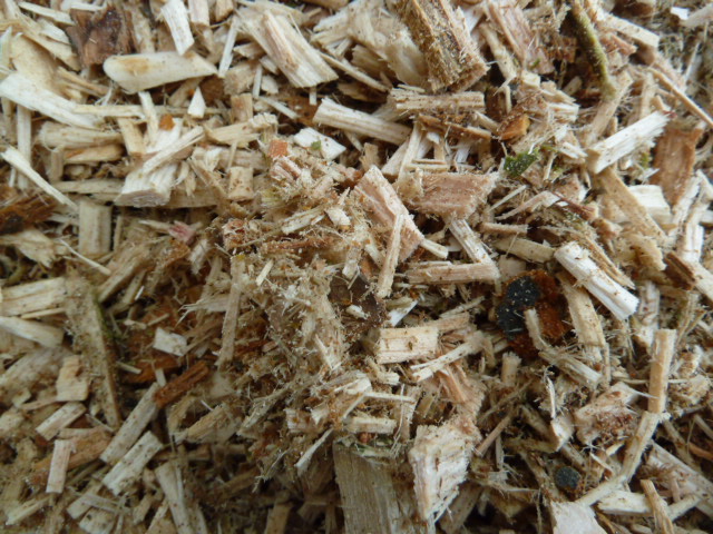 処理で生まれた木材チップを肥料や堆肥にすることも可能